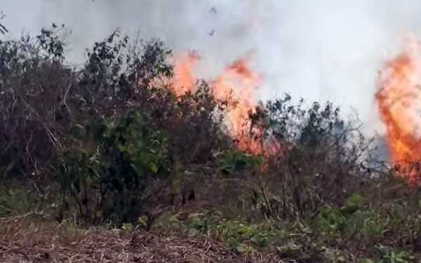 Kabut Asap Selimuti Aru, UPP Kelas lll Dobo Keluarkan Imbauan Pelayaran 1 Kebakaran Depan Bandara Rargwamar Dobo